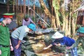 Hà Nội huy động các tổ chức tham gia diệt lăng quăng phòng, chống sốt xuất huyết