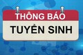 TRƯỜNG MẦM NON TRẦN PHÚ 
THÔNG BÁO TUYỂN SINH