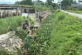 Lan tỏa hình ảnh ‘Bộ đội Cụ Hồ’ trong lòng nhân dân