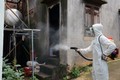Phường Phú Lương đẩy mạnh công tác VSMT, diệt bọ gậy, phòng chống sốt xuất huyết