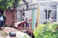 Quảng Bị: quyết liệt lập lại kỷ cương quản lý đất đai, trật tự xây dựng trên địa bàn.