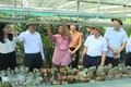 Phúc Thọ: Nông nghiệp chuyển mình theo hướng sinh thái, hiện đại và bền vững