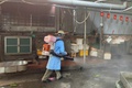 Tổ chức phun thuốc tiêu độc, khử trùng phòng, chống dịch bệnh Dịch tả lợn Châu Phi và dịch bệnh gia súc, gia cầm trên địa bàn phường Bồ Đề