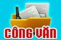 Chủ động ứng phó Cơn bão số 5 năm 2025 (Kajiki) trên địa bàn Thành phố Hà Nội