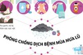 Hướng dẫn phòng chống dịch bệnh mùa mưa lũ