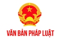 Quyết định 48/2025/QĐ-UBND của UBND thành phố Hà Nội quy định quản lý, lắp đặt mạng cáp viễn thông, hệ thống thu phát sóng di động