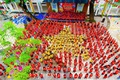 Hành động đẹp trong ngày hội non sông