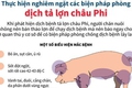 XÃ HẠ BẰNG CHỦ ĐỘNG TRIỂN KHAI CÁC BIỆN PHÁP PHÒNG, CHỐNG DỊCH TẢ LỢN CHÂU PHI