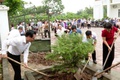 Ứng Hoà tổ chức Lễ phát động hưởng ứng cuộc thi “Sáng – Xanh – Sạch – Đẹp” năm 2025.