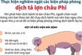 Chủ động phòng bệnh Dịch tả lợn Châu Phi để bảo vệ đàn vật nuôi, bảo vệ môi trường và bảo đảm an toàn thực phẩm cho cộng đồng