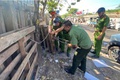 PHƯỜNG HỒNG HÀ RA QUÂN TỔNG VỆ SINH, CHỈNH TRANG ĐÔ THỊ CHÀO MỪNG ĐẠI HỘI ĐẢNG BỘ PHƯỜNG LẦN THỨ NHẤT, NHIỆM KÌ 2025-2030