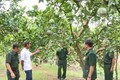 Gương sáng Cựu chiến binh làm kinh tế giỏi