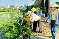 XÃ THANH TRÌ: RA QUÂN TỔNG DỌN VỆ SINH MÔI TRƯỜNG, DIỆT BỌ GẬY, PHÒNG CHỐNG SỐT XUẤT HUYẾT ĐỢT I NĂM 2025