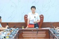 Đảng ủy xã Phúc Thọ làm việc với Công ty CP Tập đoàn T&T và đơn vị tư vấn về khảo sát dự án khu đô thị trên địa bàn xã