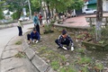 Đảng uỷ xã Phúc Thọ tăng cường lãnh đạo công tác vệ sinh môi trường và trật tự đô thị