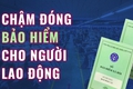 Danh sách đơn vị sử dụng lao động chậm đóng BHXH, BHYT trên địa bàn phường Thanh Xuân