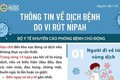 Thông tin về dịch bệnh do vi rút Nipah