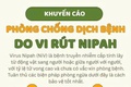 Hướng dẫn phòng, chống bệnh do virus Nipah