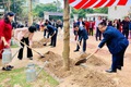 Phường Khương Đình tổ chức Lễ phát động “Tết trồng cây đời đời nhớ ơn Bác Hồ” Xuân Bính Ngọ 2026