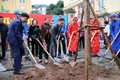 Phường Tương Mai: Trồng cây xanh bảo vệ môi trường, nâng cao chất lượng cuộc sống