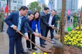 CẦU GIẤY: PHÁT ĐỘNG TẾT TRỒNG CÂY, CHUNG TAY KIẾN TẠO ĐÔ THỊ XANH BỀN VỮNG