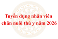 Phường Thanh Xuân ban hành Kế hoạch tuyển dụng nhân viên chăn nuôi thú y năm 2026