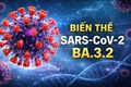 Cảnh giác với biến thể COVID-19 mới BA.3.2 (“Ve sầu”): Không hoang mang nhưng cần chủ động phòng bệnh
