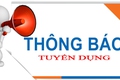 Thông báo về việc tuyển dụng hợp đồng thực hiện nhiệm vụ của công chức năm 2026