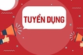 Phường Việt Hưng thông báo tuyển hợp đồng theo Nghị định 173/2025/NĐ-CP tại các cơ quan Đảng thuộc Đảng ủy phường.