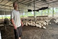 NGƯỜI CÁN BỘ MẶT TRẬN GƯƠNG MẪU, LÀM KINH TẾ GIỎI