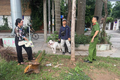 Cảnh báo tình trạng đánh bả chó, mèo: Nâng cao ý thức bảo vệ vật nuôi và an toàn cộng đồng