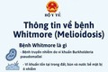 Whitmore – Hiểu đúng về “vi khuẩn ăn thịt người” để chủ động phòng bệnh