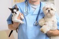 Hà Nội công bố thủ tục hành chính nội bộ mới và bãi bỏ lĩnh vực Thú y và Thủy sản