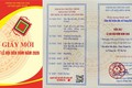 Trân trọng kính mời toàn thể nhân dân xã Trung Giã và du khách thập phương về dự lễ hội đền Rõm.