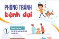 Tuyên truyền về phòng chống bệnh dại