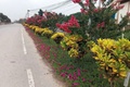 Khí thế thi đua lan tỏa ở thôn Vân Phúc 5 hướng tới kỷ niệm 136 năm Ngày sinh Chủ tịch Hồ Chí Minh và 1 năm thành lập xã Phúc Lộc