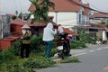 xã Bất Bạt: Đoàn kết chung tay duy trì hiệu quả công tác vệ sinh môi trường, xây dựng quê hương Sáng – Xanh – Sạch – Đẹp