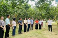 Đoàn công tác Sở Du lịch Hà Nội khảo sát phát triển sản phẩm du lịch nông nghiệp, nông thôn tại xã Phúc Lộc