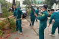 PHƯỜNG NGHĨA ĐÔ KỊP THỜI XỬ LÝ CÂY XANH BẬT GỐC TẠI NGÕ 203 ĐƯỜNG HOÀNG QUỐC VIỆT