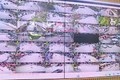 Phường Tây Hồ xử lý 'điểm nghẽn' đảm bảo ATGT