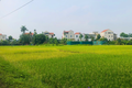Xã Yên Lãng khuyến cáo người dân không đốt, phơi rơm rạ trên đường