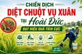 Chiến dịch diệt chuột vụ Xuân tại Hoài Đức đạt hiệu quả tích cực