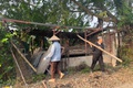 Nhân dân xã Minh Châu tích cực thu dọn tài sản, bàn giao mặt bằng, chung sức vì sự phát triển quê hương.