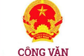 Công văn về việc báo cáo tình hình sử dụng lao động 6 tháng đầu năm 2026