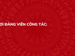 Thủ tục lấy ý kiến nhận xét của chi ủy, chi bộ đối với đảng viên thực hiện nhiệm vụ nơi cư trú - P8
