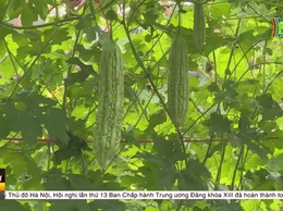 Bát Tràng chủ động phòng chống thiên tai!