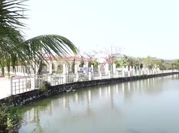 Tam Hưng: Hành trình - Hội tụ - Phát triển - Bứt phá