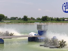 Hà Nội: Hỗ trợ 100% giá trị vật nuôi thủy sản không di chuyển được khi thu hồi đất