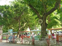 Phóng sự: Đi chơi ở công viên Thống Nhất, phường Hai Bà Trưng, Hà Nội.