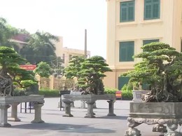 Bản tin Phúc Thọ ngày 19/9/2025
